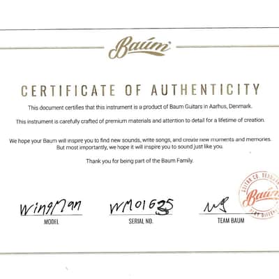 Baum Wingman 2025 - Vintage White image 12