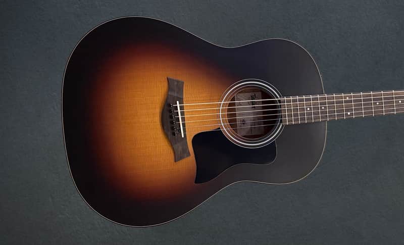 Taylor Used 117E Special Edition '26