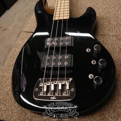 G&L USA 2006 L 2000 image 15