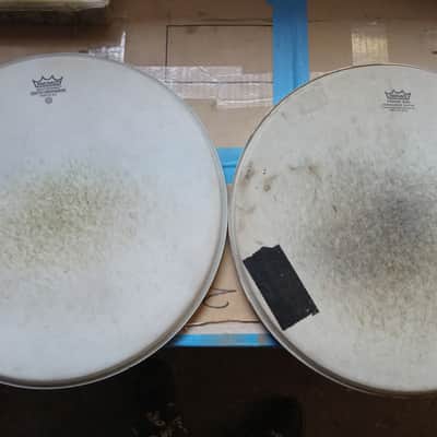 Remo 16" Drum Head Lot - 9 Heads image 4