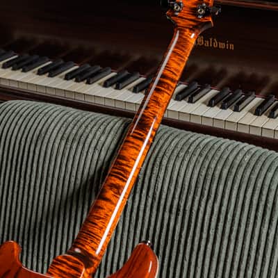 PRS Custom 24 Semi-Hollow Wood Library 10-Top image 13