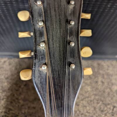 Martin Bowl Back Mandolin 1910 all original image 9