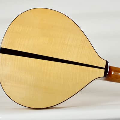 Prudencio Saez Cantinga Travel Guitar image 5