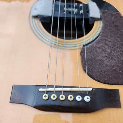 Recording King RD-06 Solid Top with mods. image 5