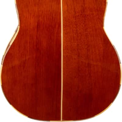Hohner H. Jimenez LV2 El Quetzal Vihuela, Basswood Top image 2