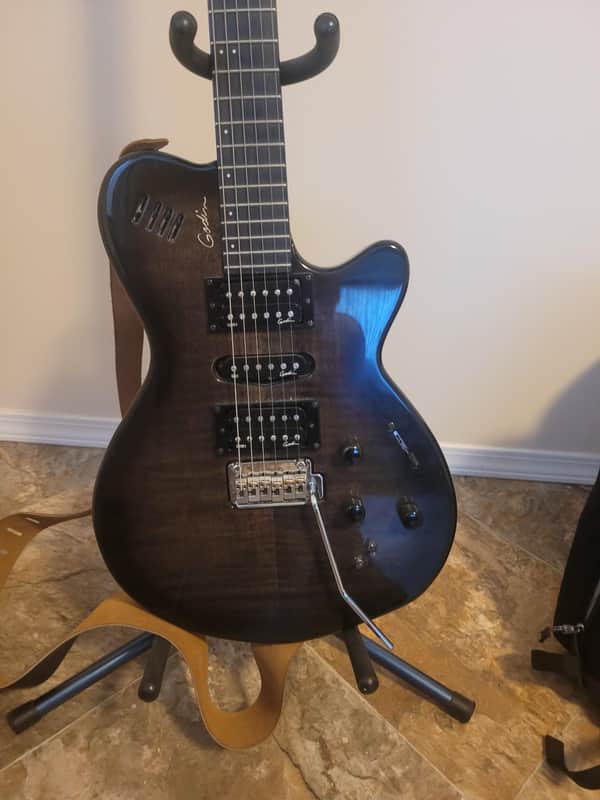 Godin xtSA 2009 - Trans Black image 1