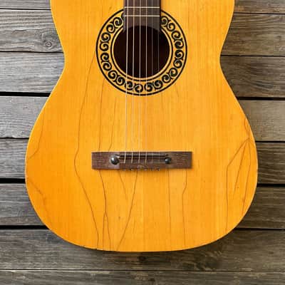 Folk Acoustic Guitar Clarissa Polverini Eko FiestaP1 P2 P10 image 1