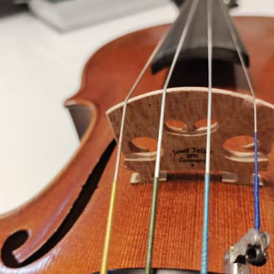 Alessandro Bertoli 4/4 Full size violin 2018 plus g Werner pernambuco bow and old case image 5