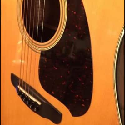 Ibanez V-300  1980 NAT image 8