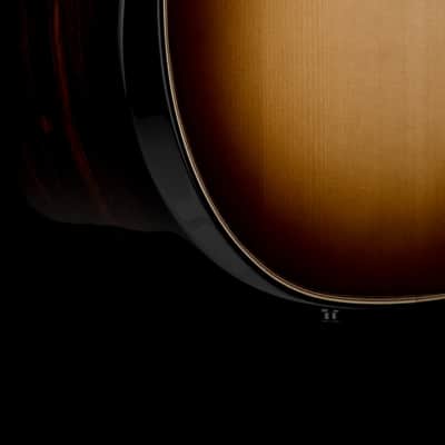 Taylor Builder's Edition 814ce LTD Macassar Ebony #96066 image 8