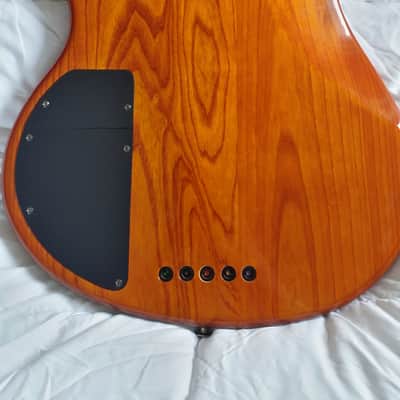 MIJ Ibanez ATK 305 1994 woodgrain image 7