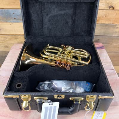 Carol Brass Taylor Phat Puppy Pocket Flugelhorn | Reverb