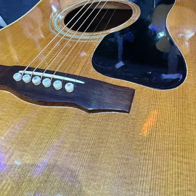 Immagine 1973 Guild D-40 Bluegrass Jubilee - 11