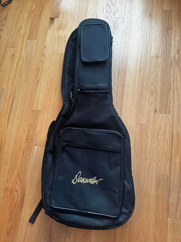 Danocaster Gig Bag image 1
