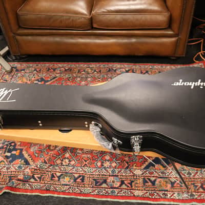 Epiphone Dave Grohl DG-335 (Incl. Hard Case) #274 image 9