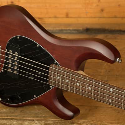 Sterling RAY5 SUB Series StingRay 5 Bass - Walnut Satin image 5