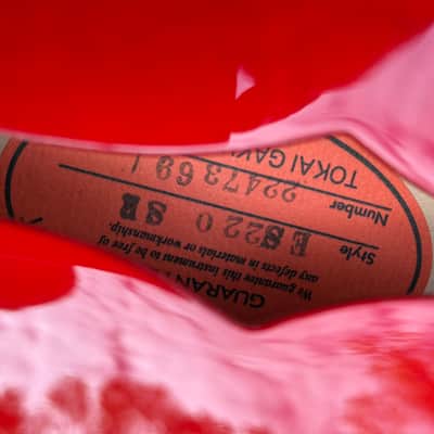 Tokai ES-220 2022 - Cherry image 2