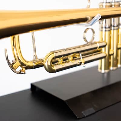 Yamaha YTR-8335IIRG Xeno Bb Trumpet with Reverse Leadpipe and Gold Brass Bell (SN 5768xx) image 12