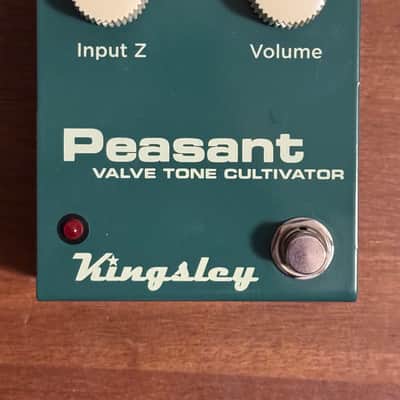 Kingsley Peasant 2020 - Present - Green image 1