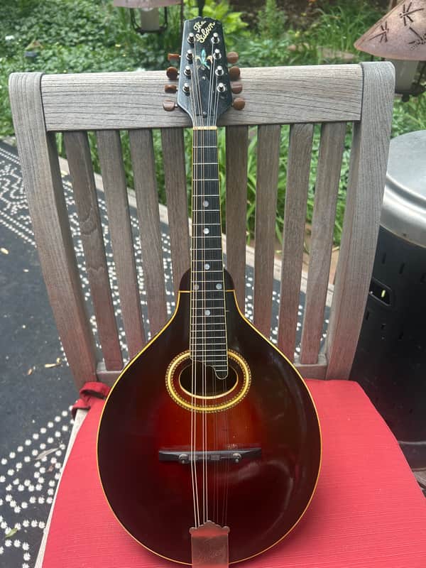 Gibson A4 mandolin