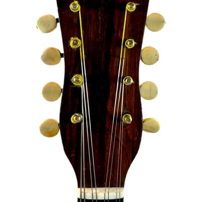 C.A. Kisslinger Decorated Curved-Ribs Mandolin, 1901 image 12