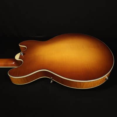 Eastman T484 Gold Burst Finish Flame Maple Thinline Guitar, Hard Case image 17