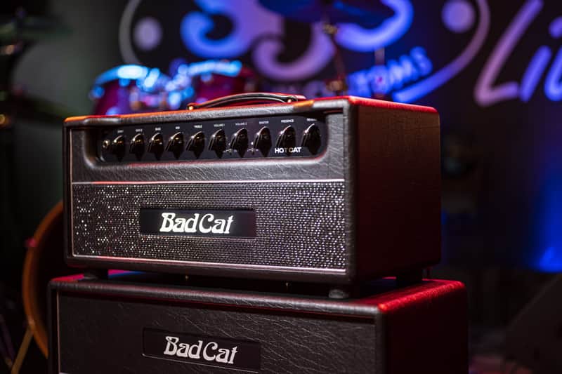 Bad Cat Amplifiers Hot Cat Head 45W 2 Channel Amp Direct Ship image 1