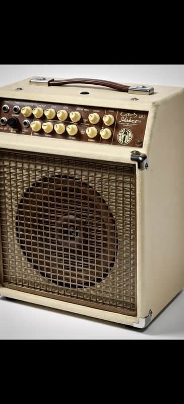 SWR California Blonde 200w 2-Channel 1x12" Acoustic Guitar Combo 2000s - Tan/Brown image 1