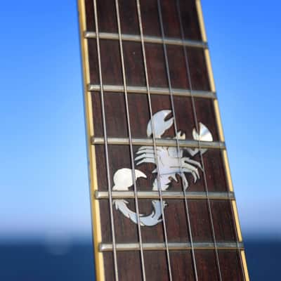 🦂 Fender Showmaster Scorpion | HH | 2003 🦂 image 3
