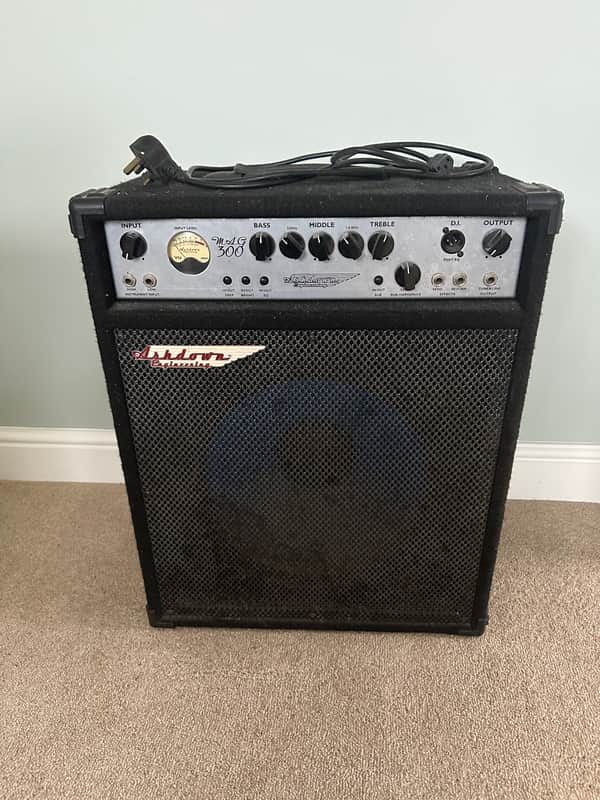 Ashdown MAG 300