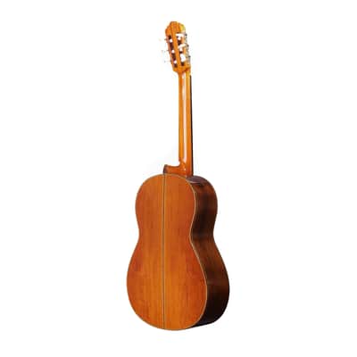 Yamaha GC42C - All Solid Classical Guitar - Cedar/Madagascar Rosewood - 2026 image 8