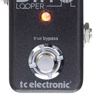 TC Electronic Ditto Looper image 5