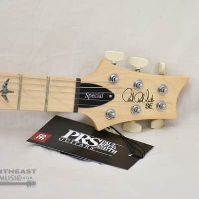 PRS SE Swamp Ash Special 22 Iri Blue (s/n:8340) image 6
