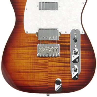 Michael Kelly Hybrid '55 Electric Guitar, Pau Ferro Fingerboard, Tiger Eye Burst image 3
