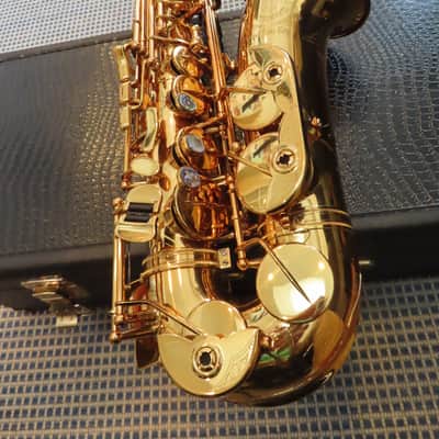 CANNONBALL SCEPTYR ALTO SAXOPHONE-STUNNING -FRESH PRO OVERHAUL, MUST SEE+ 1 Yr WTY image 16