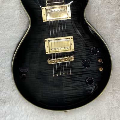 Michael Kelly Patriot Limited SB Mod Shop Custom Electric Guitar, Smoke Burst image 7