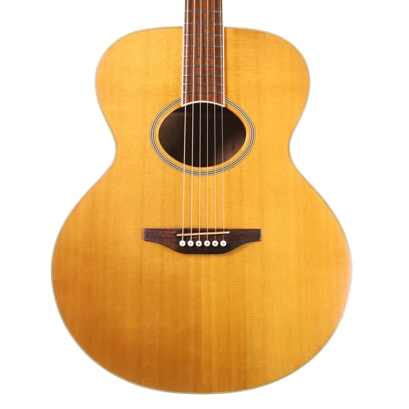 Washburn J-50-S