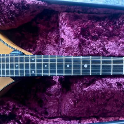 Collings MT2 Birdseye Maple/ Italian Spruce Honey Amber 2018 - Full high-gloss nitrocellulose lacquer finish image 11