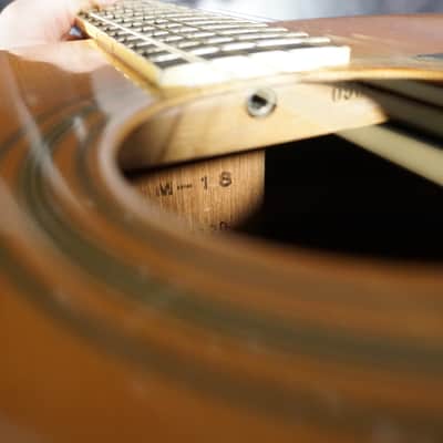 Morales M-18 Lyre Bird - Natural Japan w/ Chipboard Case image 11