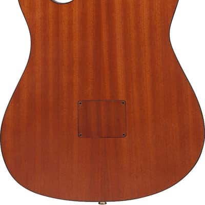 Ibanez FRH10NRGF Thinline Nylon Acoustic-Electric Guitar Rose Gold Metallic Flat image 4