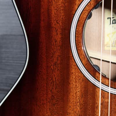 Taylor 324ce Next Generation Acoustic-Electric Guitar – V-Class Bracing, Mahogany Shaded Edgeburst image 9