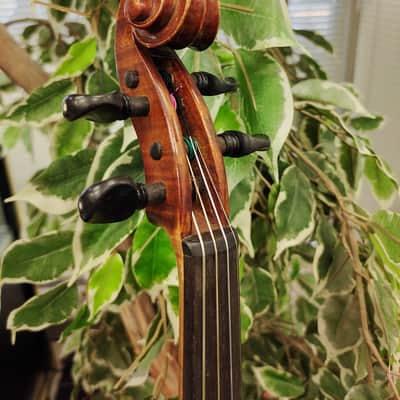 A.S. Hill (Seattle) Violin No. 82 — 1924 — Amber-Red — with German Workshop Bow & Case image 12