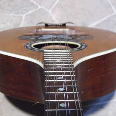 fine old VOGTLANDSPERLE solid arched back 8string MANDOLIN mando Germany 1920s image 12
