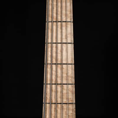 Peavey Cirrus Custom Shop 6 String bass - The "Poor Man’s Ken Smith" of Ghospel image 12