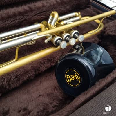 Vincent Bach Stradivarius 43 raw brass ML trumpet mouthpiece case Gamonbrass image 2