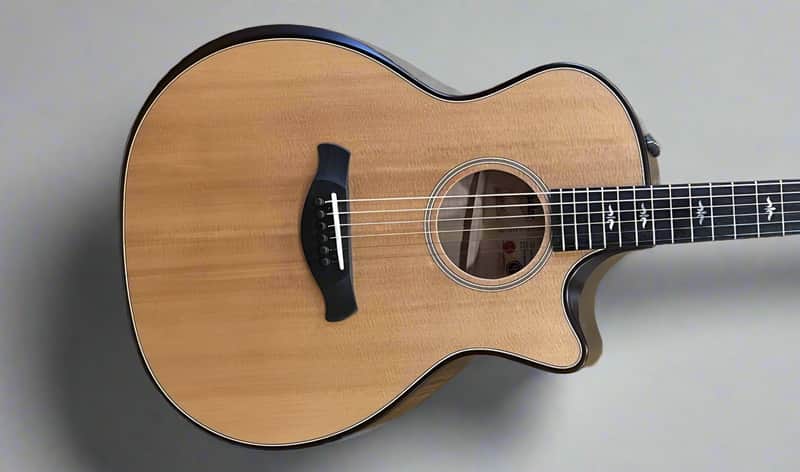 Taylor Builder's Edition 614ce