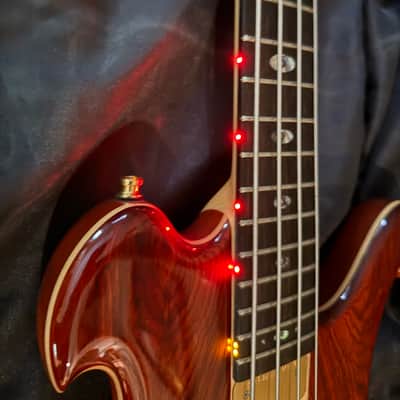 Alembic Dragon Wing 2018 - with fretboard LEDs! image 22