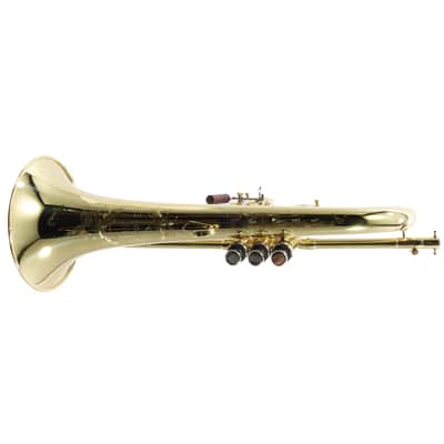 S.E. Shires Model Q19 Q-Series Professional Flugelhorn BRAND NEW image 16