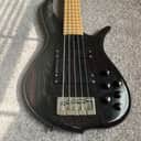 F Bass BN5 2000 - Curser Purple
