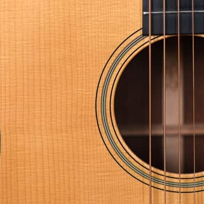 Martin  Custom Shop D-14 Madagascar - Adirondack (2007) image 9
